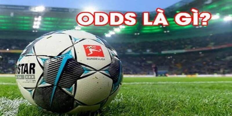 Odds trong bóng đá là gì Các loại odds trong bóng đá