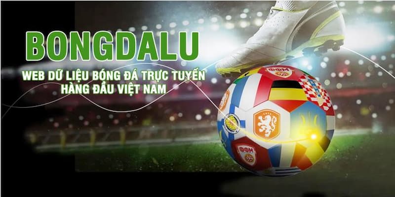 Bongdalu Cách bongdalu hỗ trợ đặt cược hiệu quả