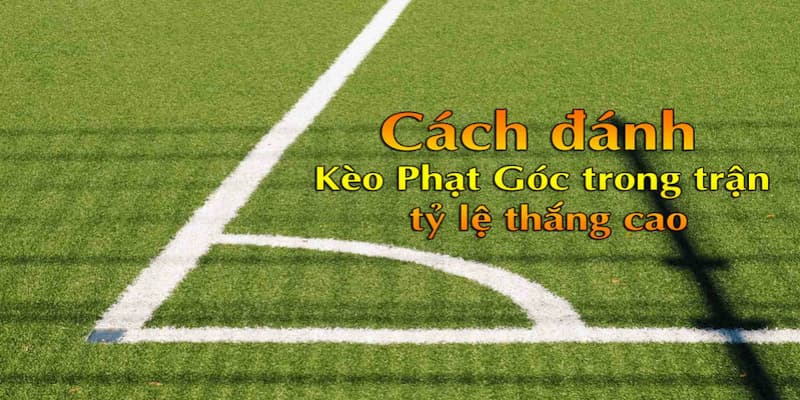 Tỷ lệ cá cược phạt góc Cập nhật tỷ lệ nhanh và chính xác