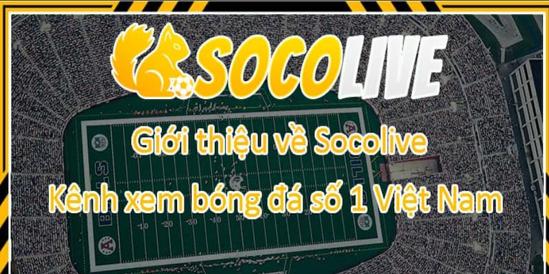 Socolive Chọn nguồn socolive chính thống