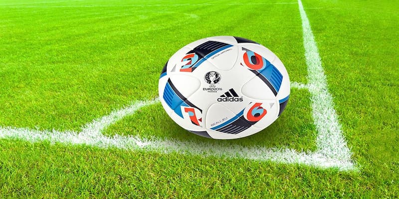 Giới thiệu Các loại tỷ lệ cá cược phổ biến