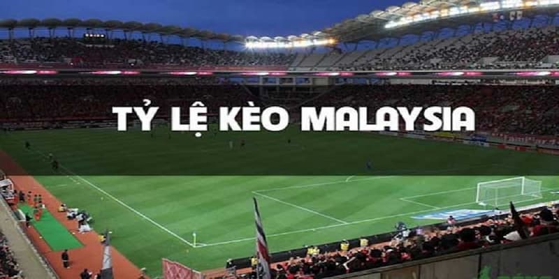 Tỷ lệ cá cược Malaysia