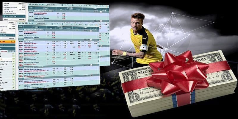 Tỷ lệ cá cược Euro